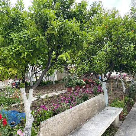 Guest House Central Vlora Vlorë